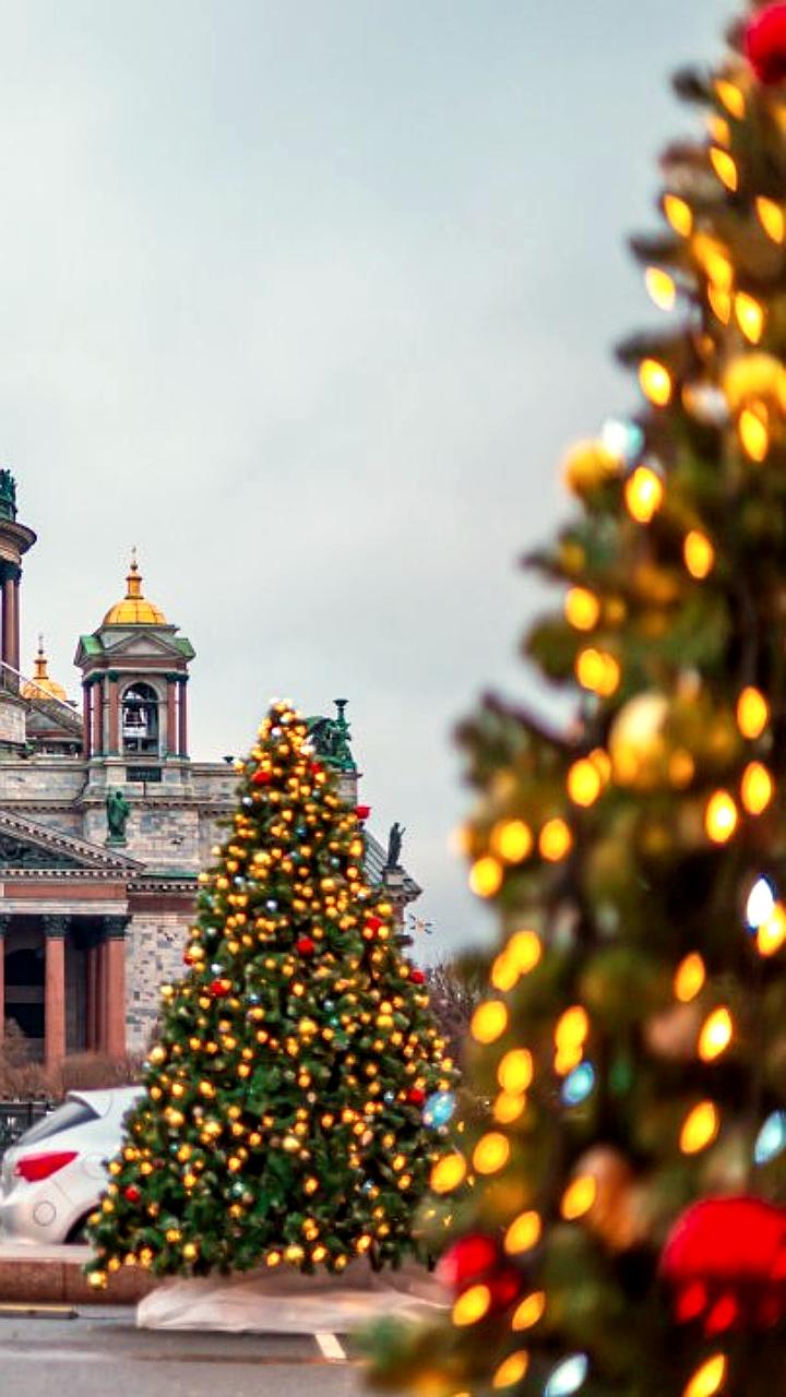 Тула и другие российские города становятся популярными направлениями для новогодних поездок