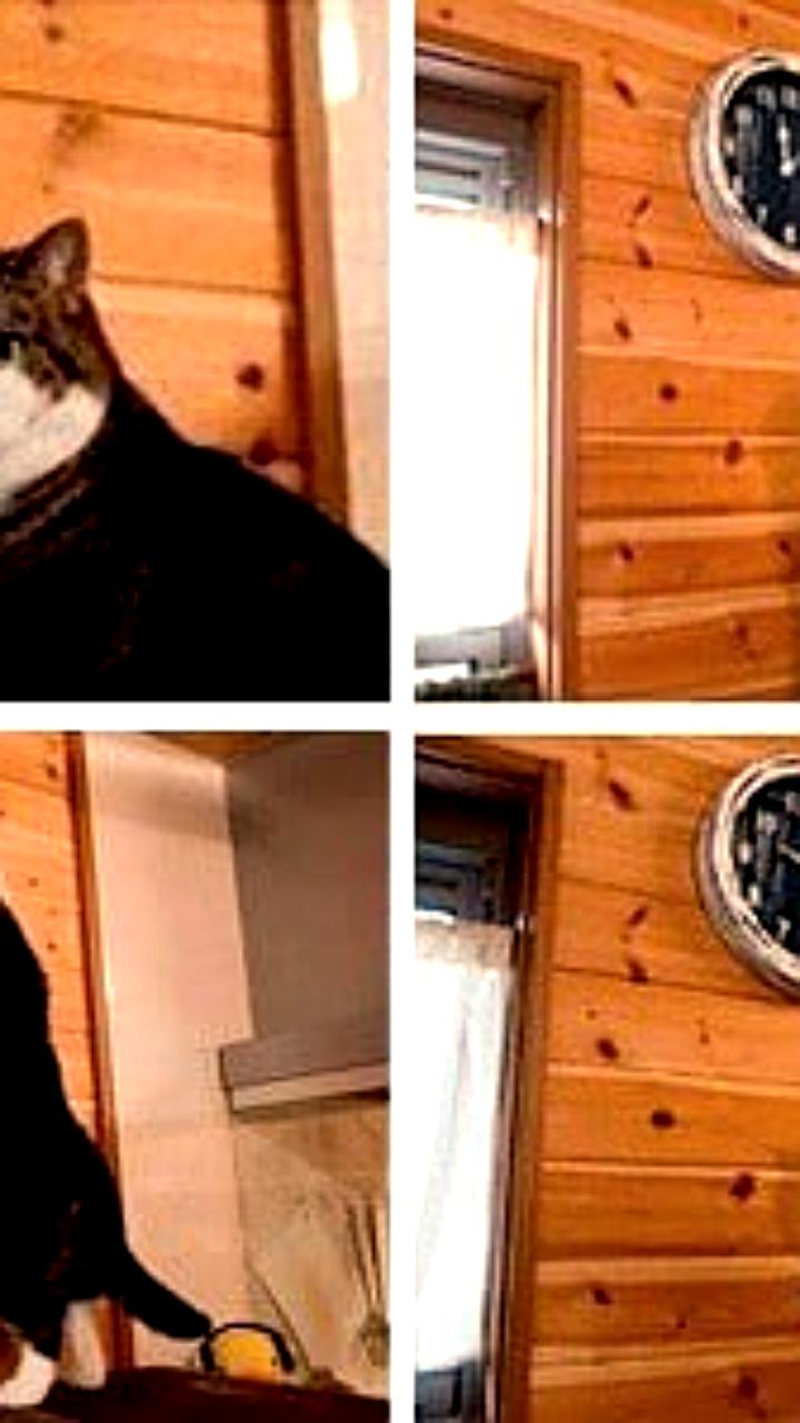 В России установлены новые сроки ожидания приема врачей