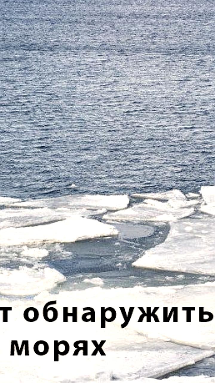 Российские учёные разработали ИИ для точного обнаружения мусора в арктических морях