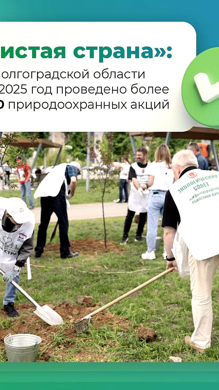 Итоги экологических акций проекта 'Чистая страна' в Волгоградской области за 2025 год