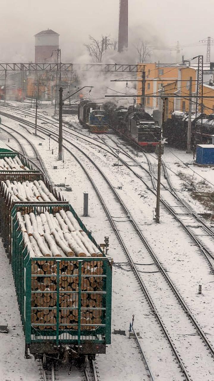 Столкновение легкового автомобиля с поездом в Псковской области: четыре жертвы