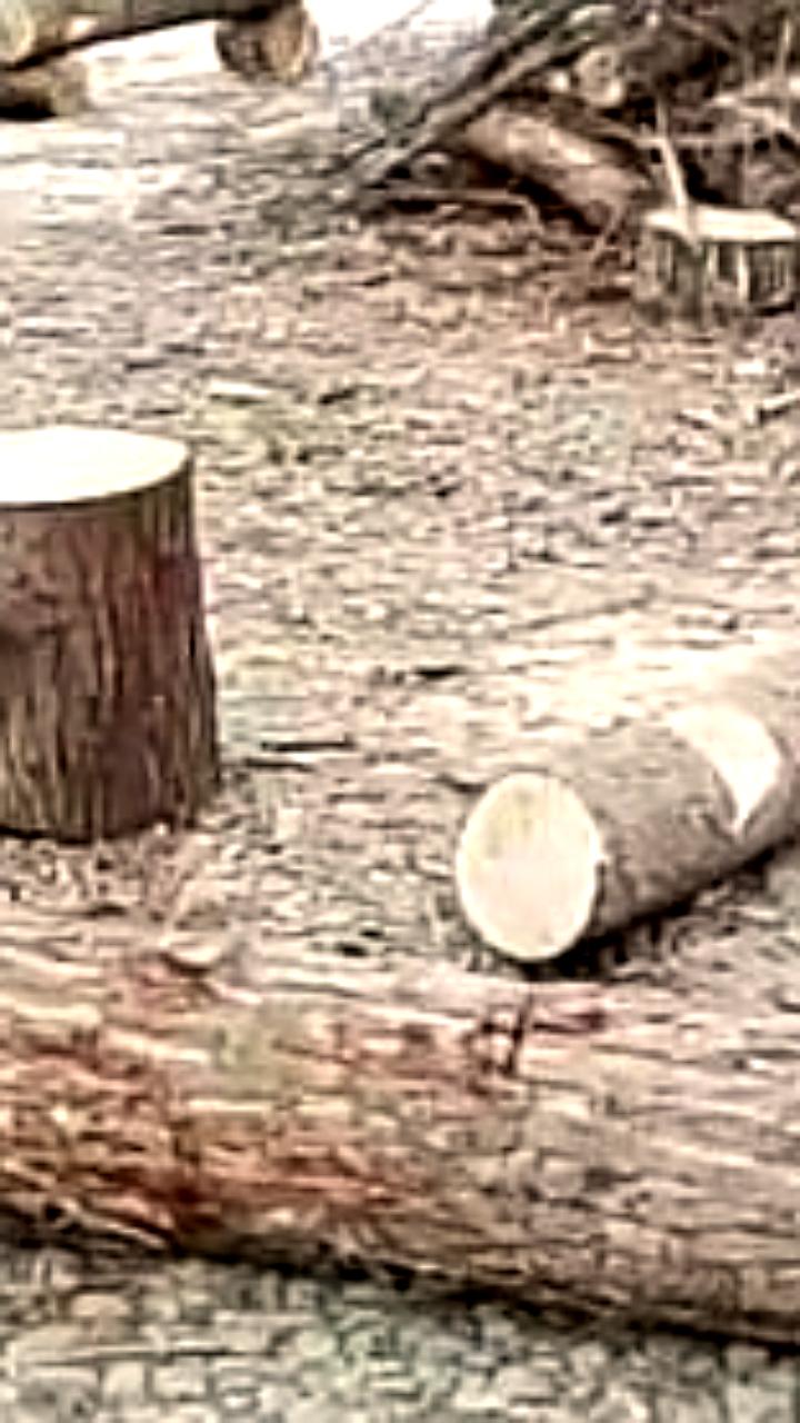 В Невинномысске вандалы повредили место для крещенских купаний