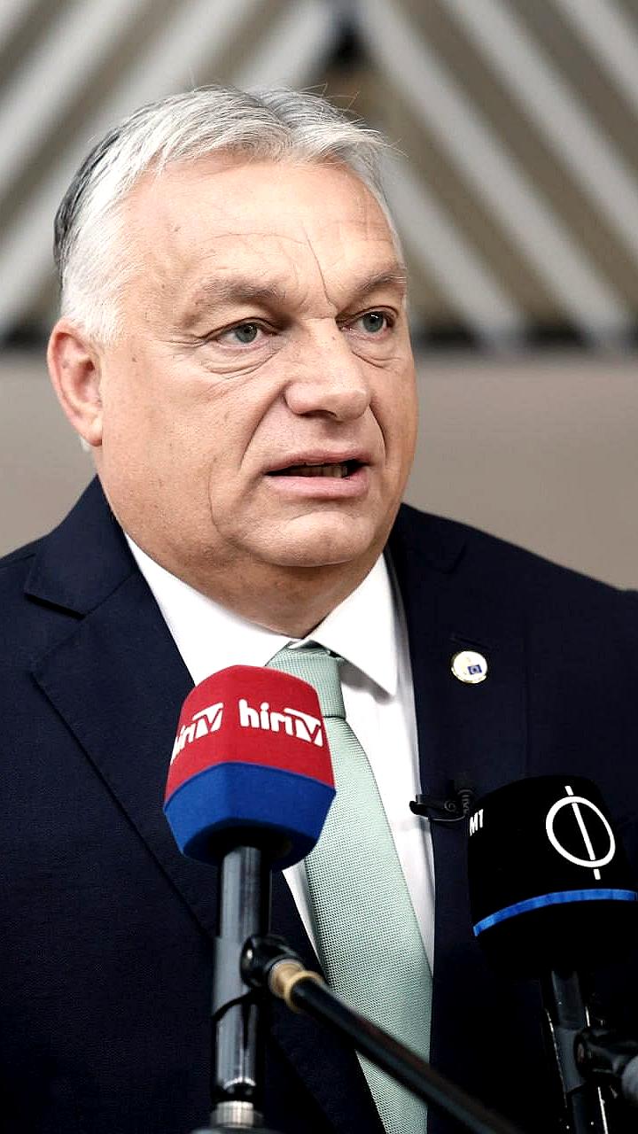 Орбан и Эрдоган откликнулись на предложение Трампа о Совете мира по Газе