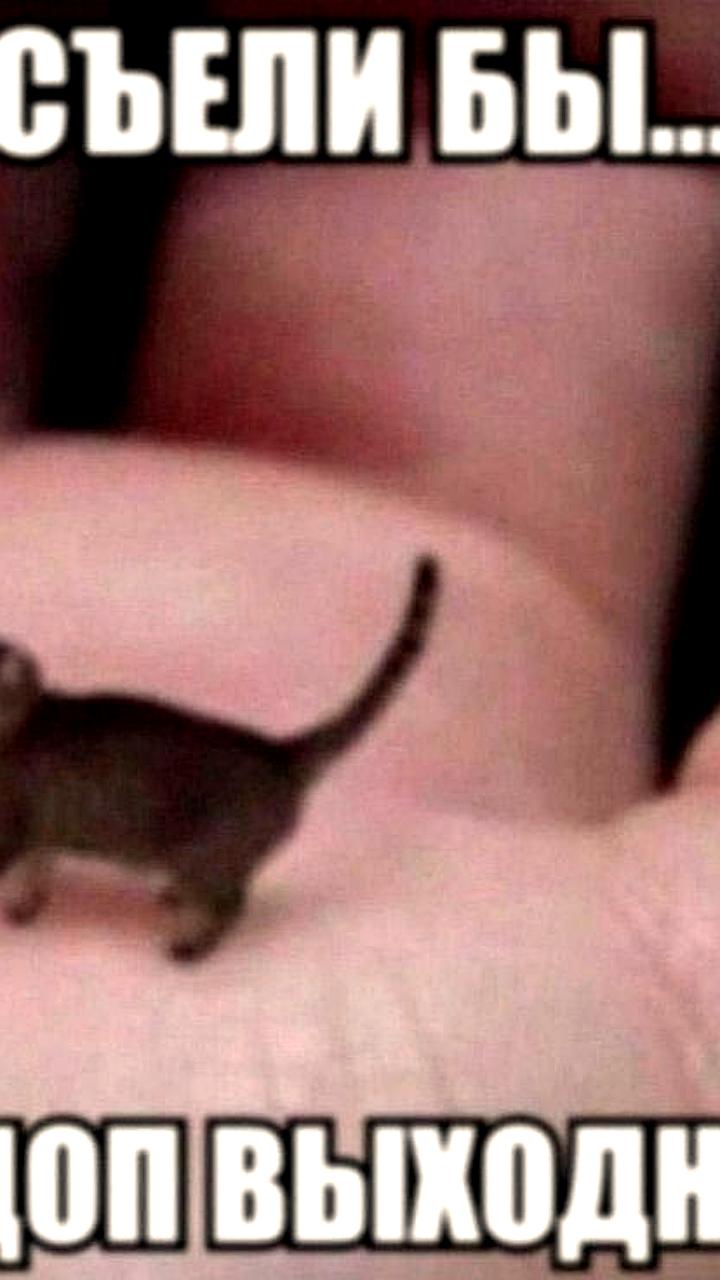 Минниханов утвердил даты Ураза и Курбан байрамов в Татарстане