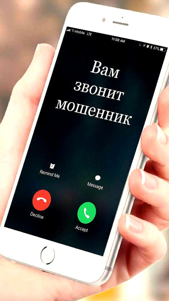 Кибермошенничество в России: более 13 тысяч дел и 5 миллиардов рублей украдено