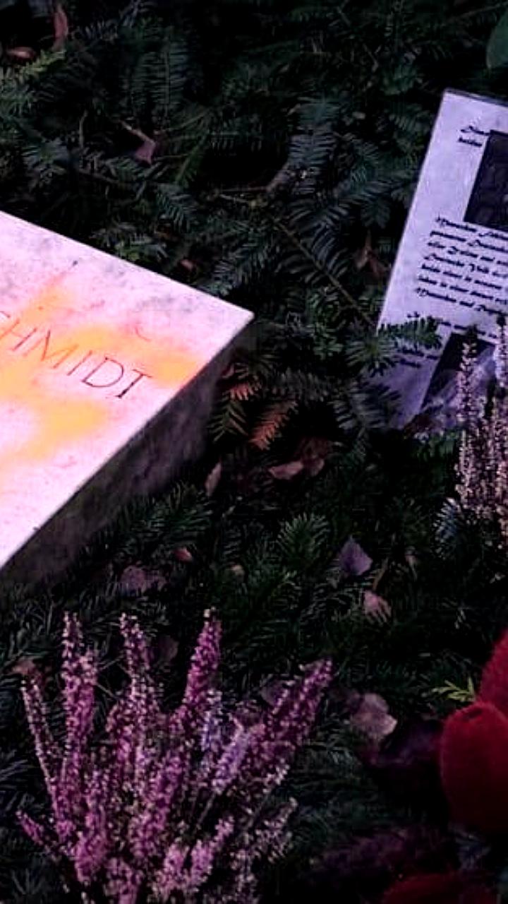 Вандалы осквернили могилу экс-канцлера Германии Гельмута Шмидта в Гамбурге