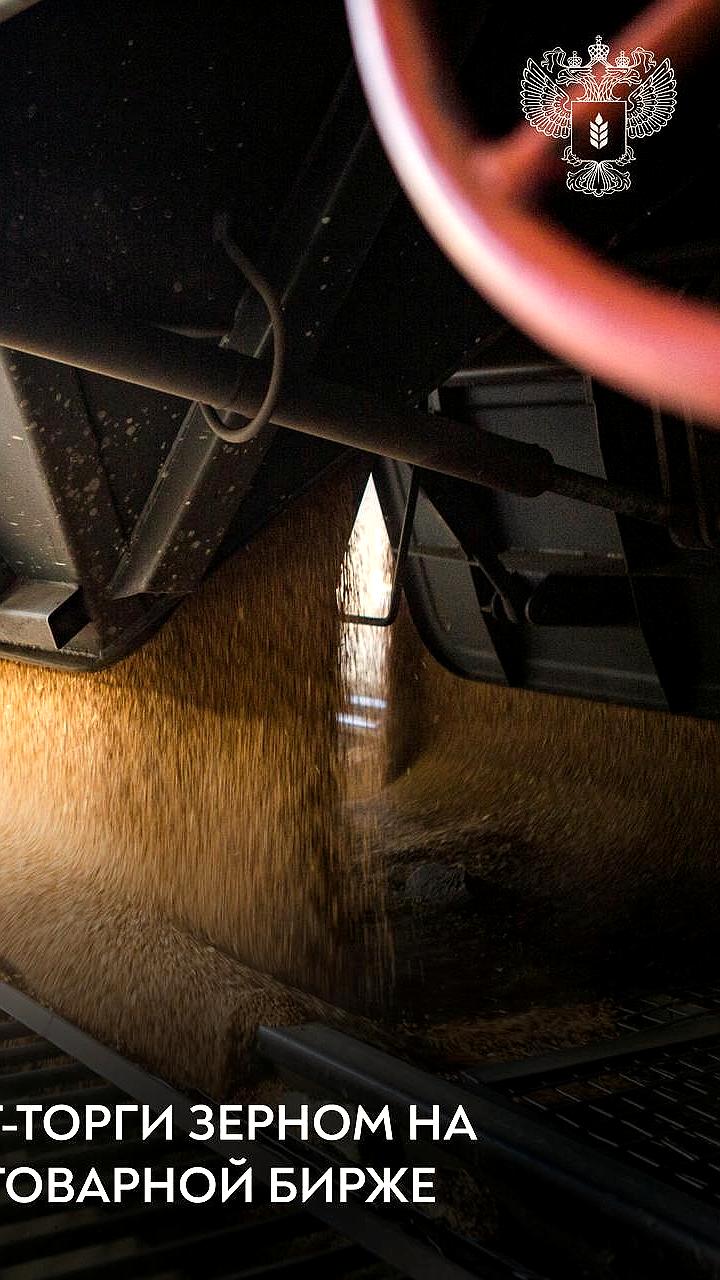 В России стартовали спот торги зерном на НТБ с участием 30 компаний