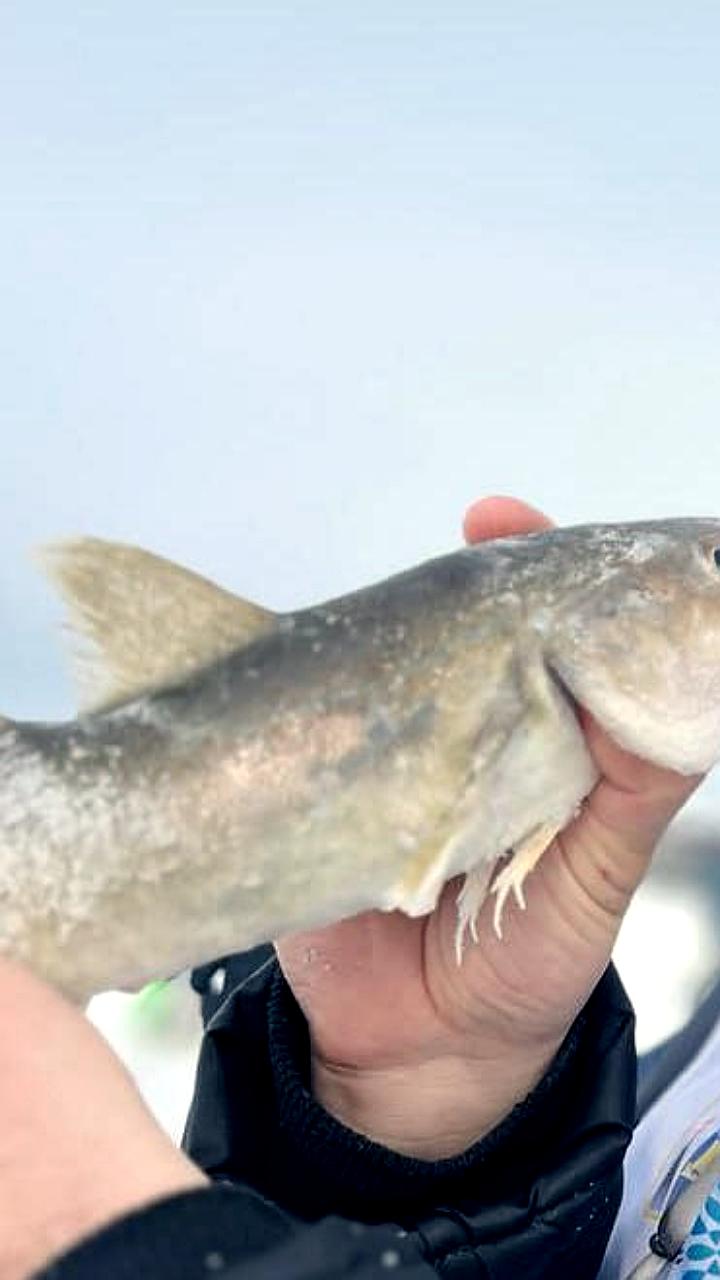 XV юбилейный фестиваль зимней рыбалки 'Сахалинский лёд' пройдет 21 февраля 2026 года