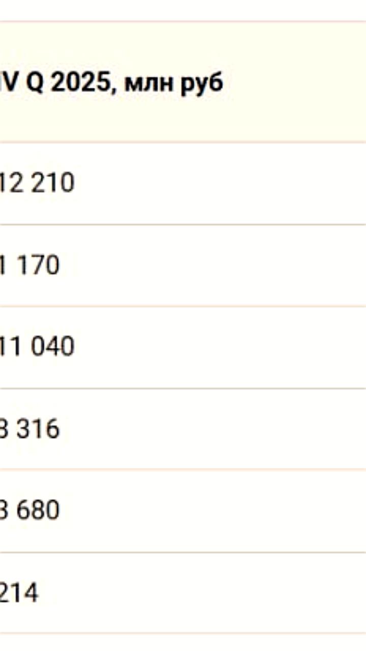 Займер сообщает о снижении объемов займов и росте виртуальных карт в 2025 году
