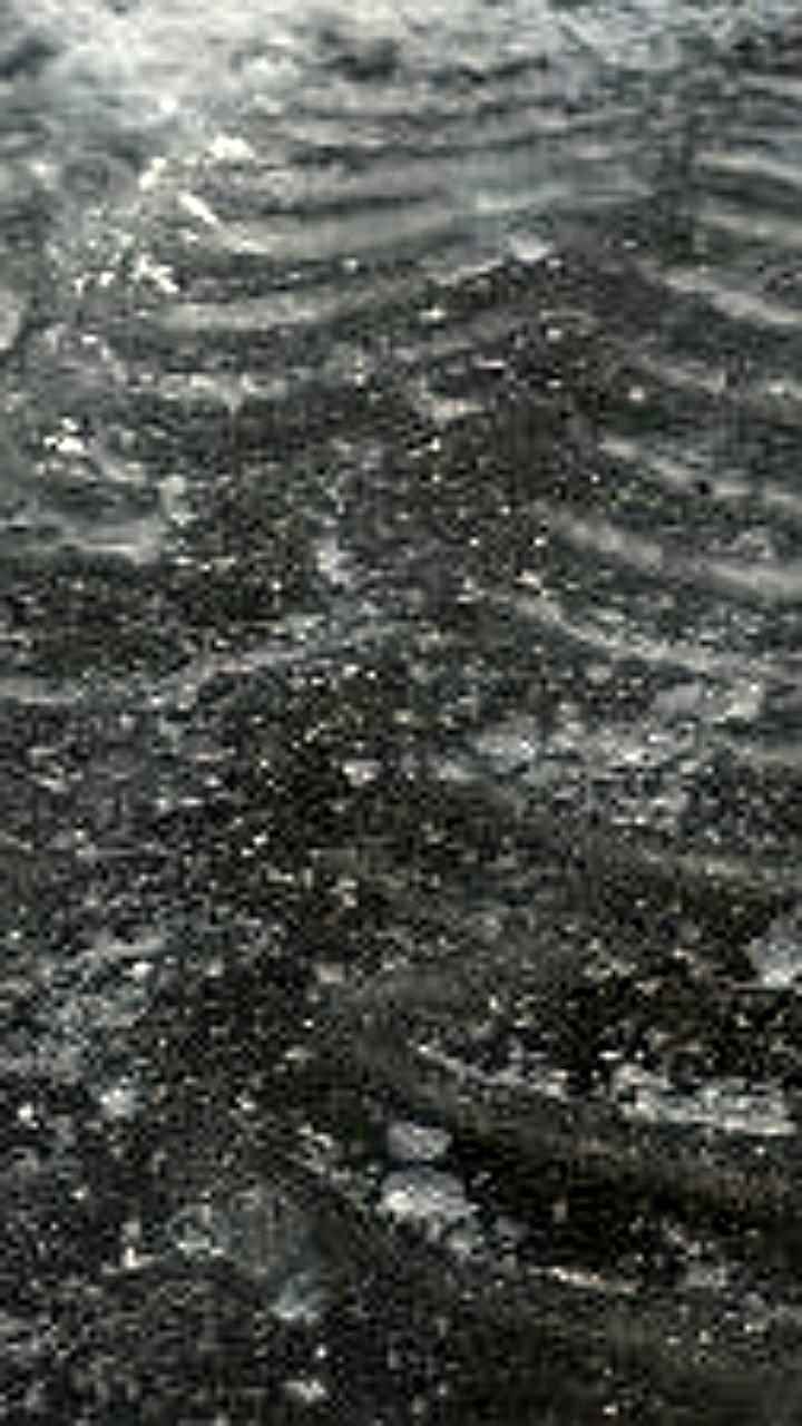 В Череповце и ЕАО разработаны новые технологии для уборки дорог