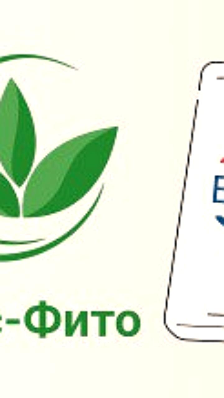 Россельхознадзор запускает мобильное приложение для проверки фитосанитарных сертификатов