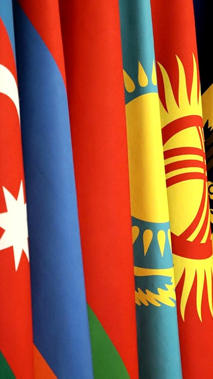 Создание Международной организации по русскому языку объединит страны СНГ