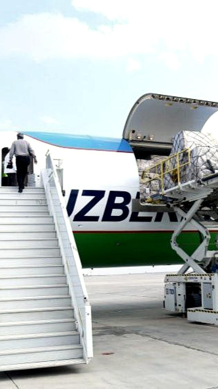 Грузопоток и пассажирские перевозки в аэропортах Узбекистана увеличились в 2025 году