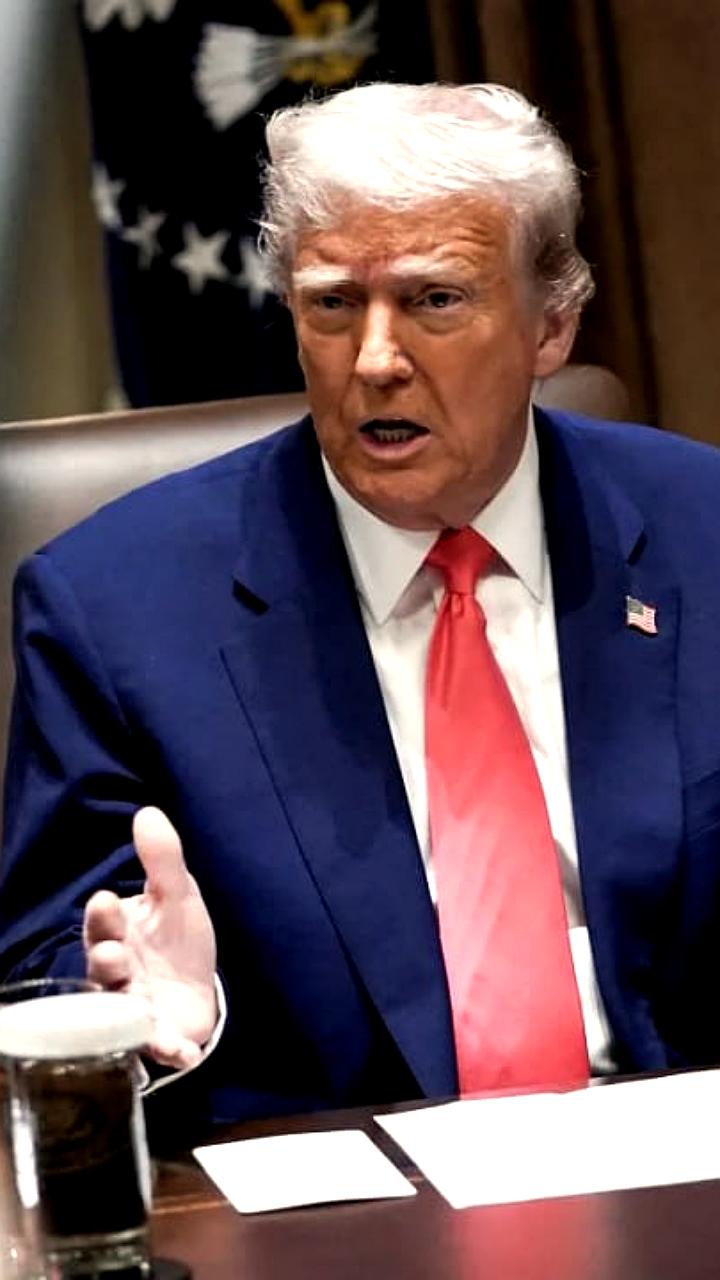 Трамп представит устав Совета мира для урегулирования в секторе Газа на ВЭФ в Давосе