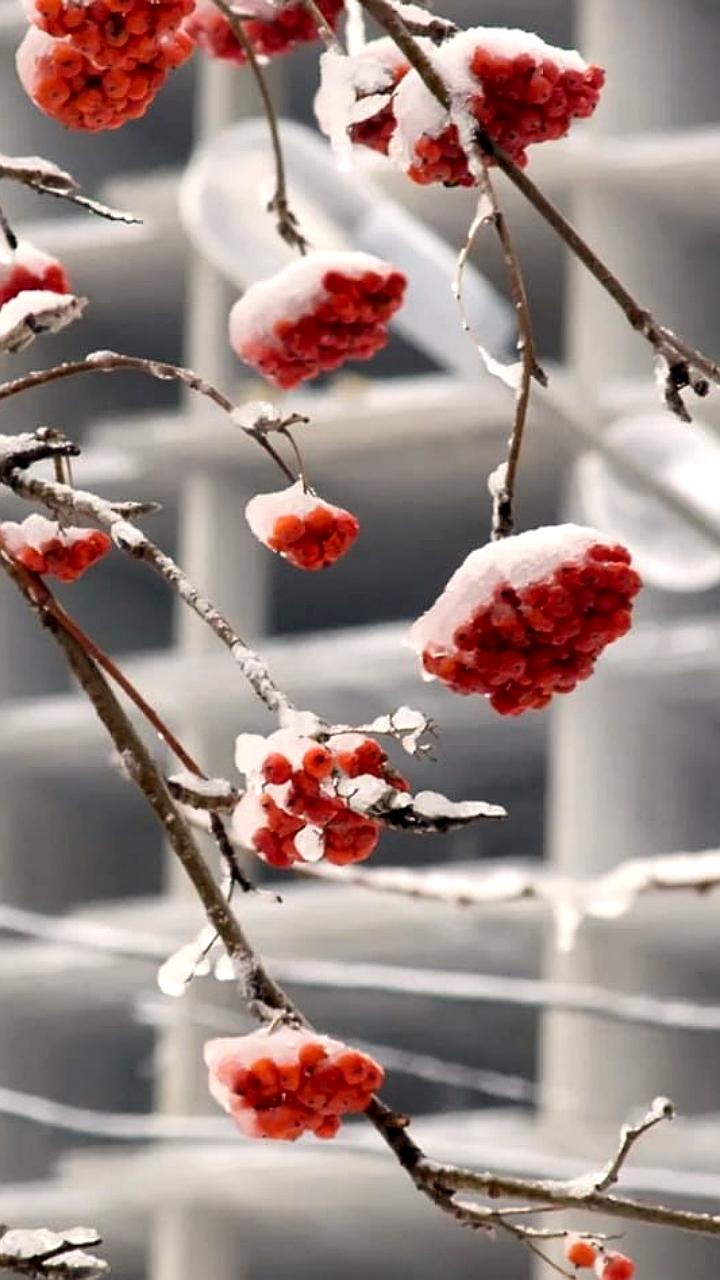 Разница в ценах на новостройки в России сокращается до 6%