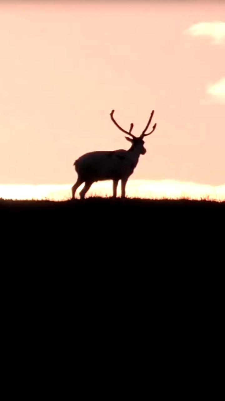 Всероссийский конкурс 'Дальний Восток Земля приключений' собрал 859 фильмов, рекордное количество для проекта