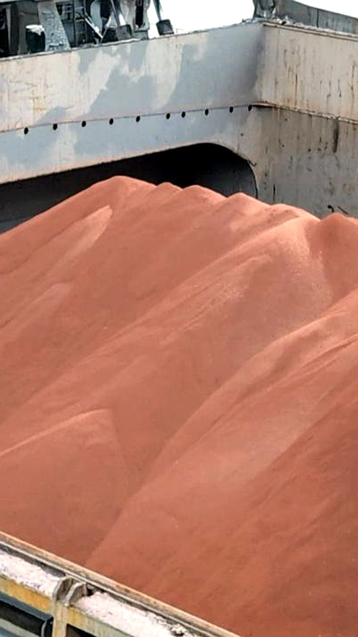 Мурманский терминал запускает регулярные экспортные поставки калийных удобрений в Южную Америку