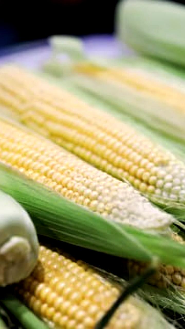 Китай увеличил импорт российской кукурузы до рекорда в 444 тысячи тонн