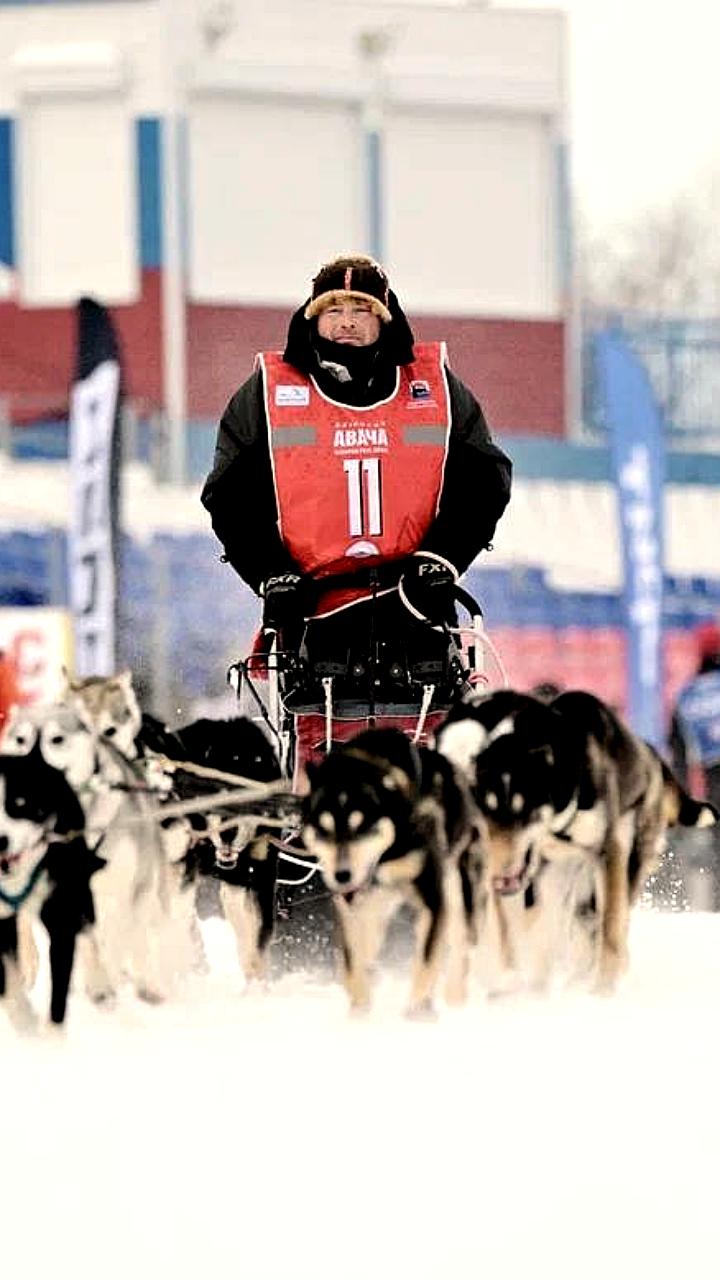 14 каюров готовятся к гонке Берингия 2023