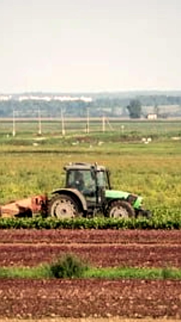 Ростовские фермеры сталкиваются с трудностями в получении льготных кредитов
