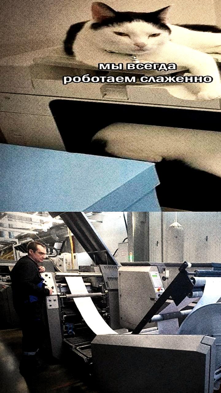 Генпрокуратура РФ требует вернуть типографию Печатня в государственную собственность