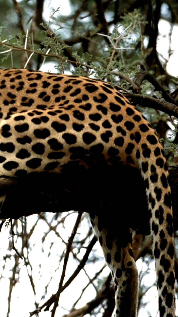 Генпрокуратура выявила нарушения в природных заповедниках страны