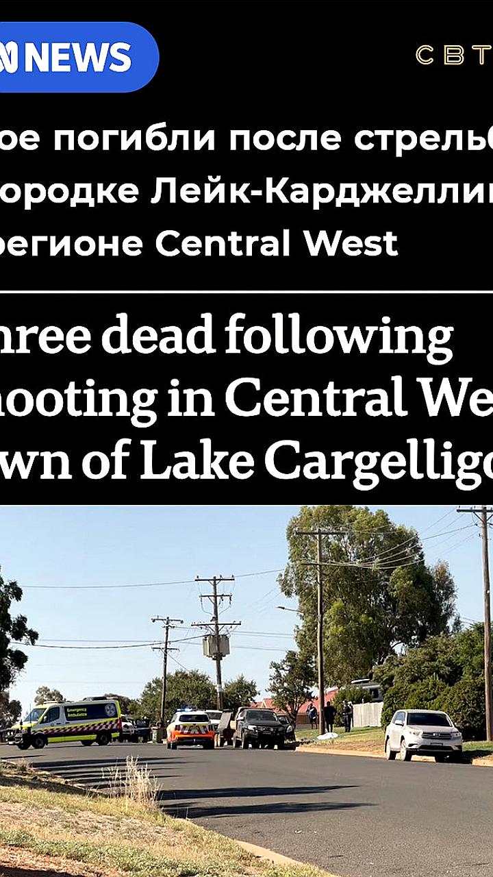 Стрельба в Лейк Карджелиго: три жертвы и один раненый, полиция ищет подозреваемого