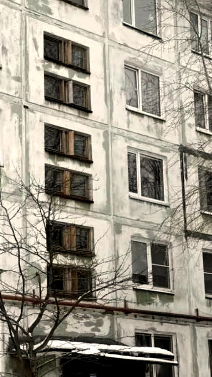 Северодвинец осуждён за жестокое обращение с собакой