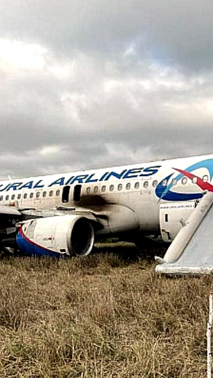 Уральские авиалинии получили 1,3 млрд рублей страховки после экстренной посадки самолета