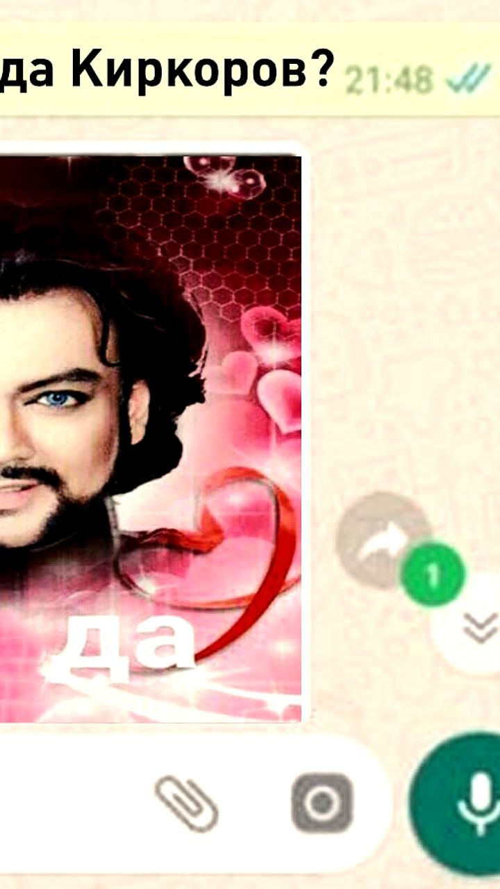 Мошенник под именем Киркорова обманул женщину на 100 тысяч рублей