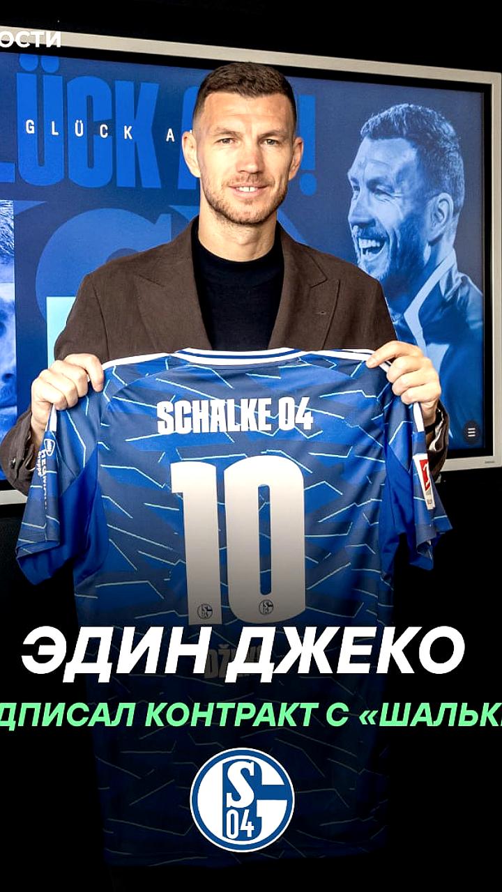 Эдин Джеко подписал контракт с Шальке после неудачного сезона в Фиорентине