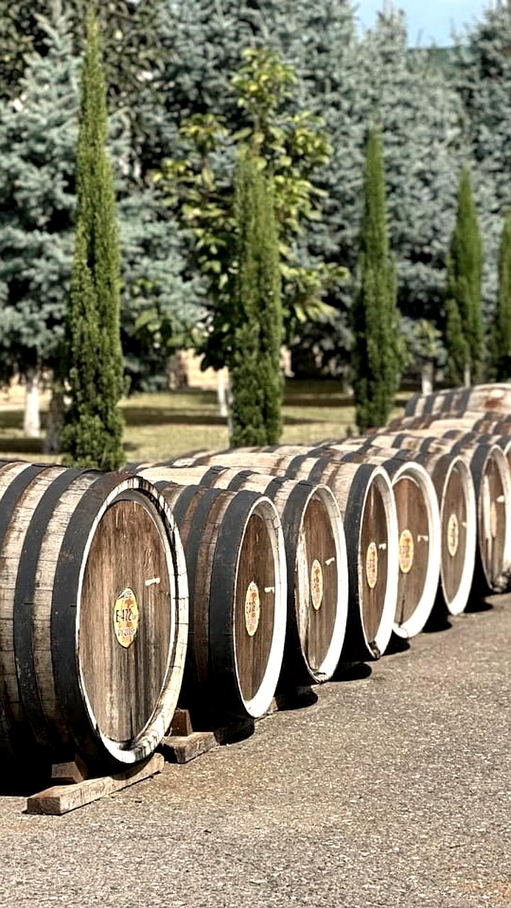 Производство вина в России в 2025 году: снижение урожая и рост в некоторых регионах