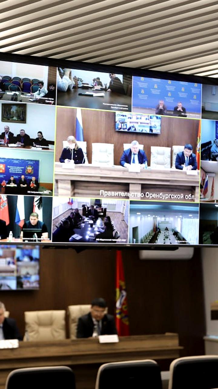 В Оренбуржье выделено 82,6 млн рублей на отлов бездомных животных в 2026 году