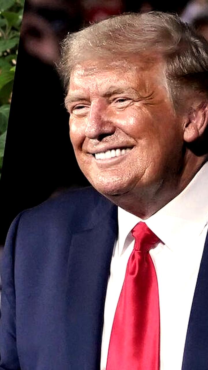 Ошибка в Совете Мира Трампа: Бельгия вместо Беларуси