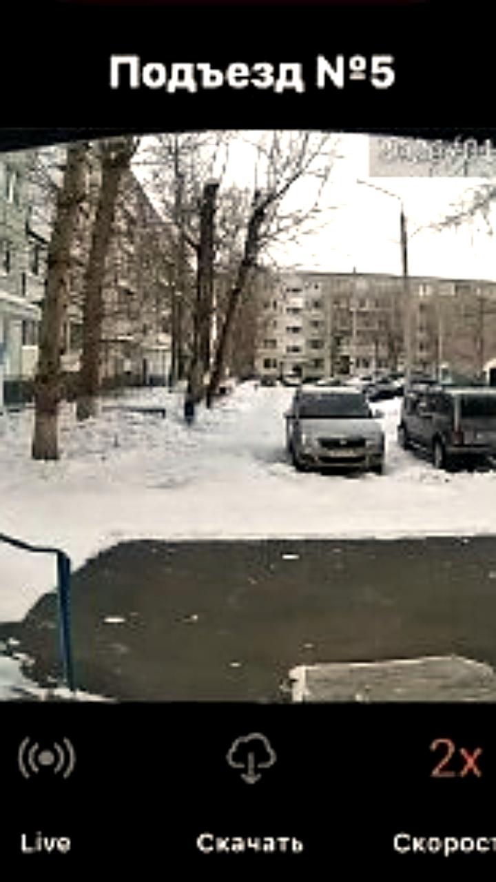 В Ясном возбуждено уголовное дело из-за нападений бездомных собак на детей