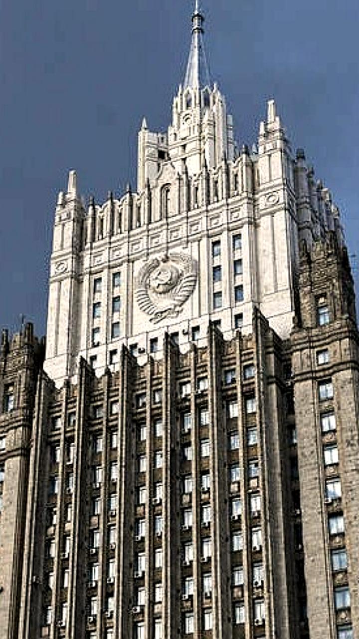 В России предложен законопроект об обязательном уведомлении консульств о новом гражданстве и ВНЖ