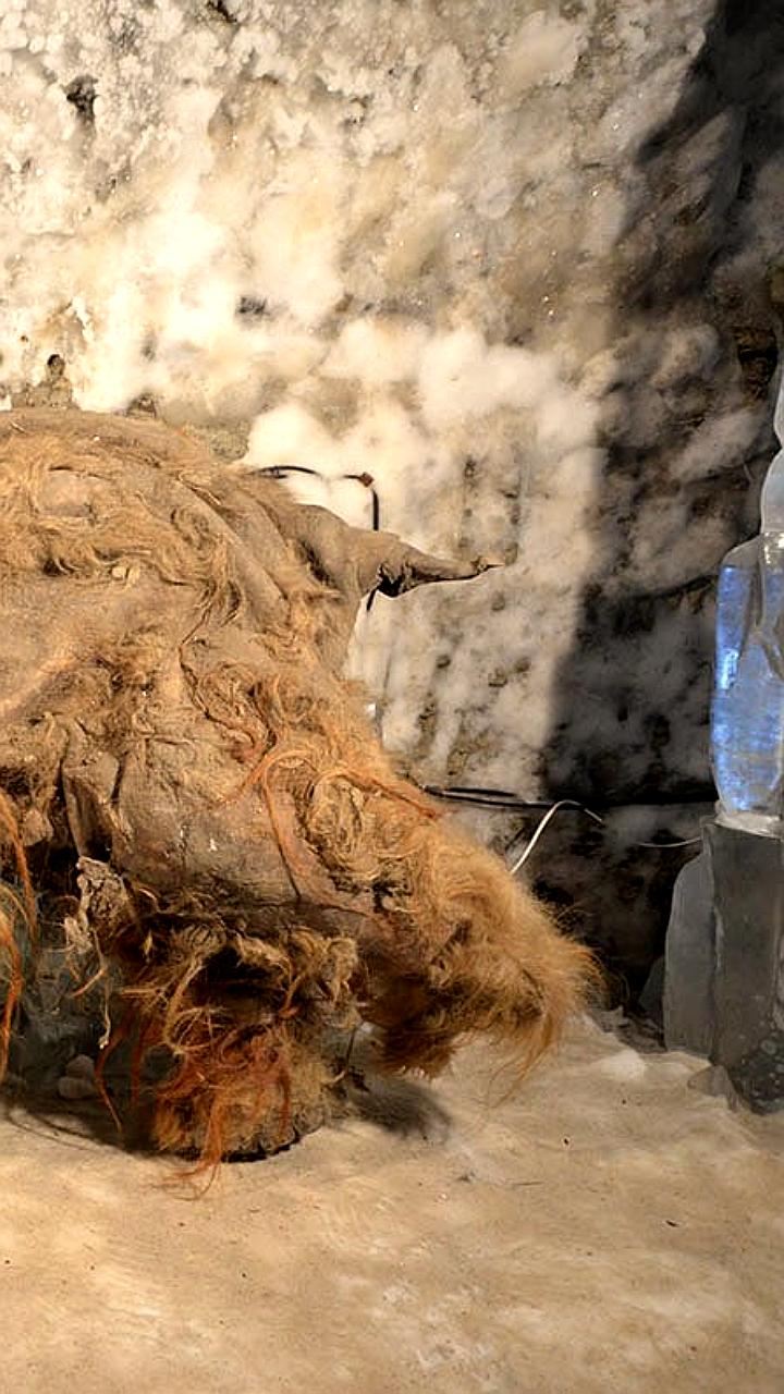 В Якутии стартует строительство Всемирного центра мамонта