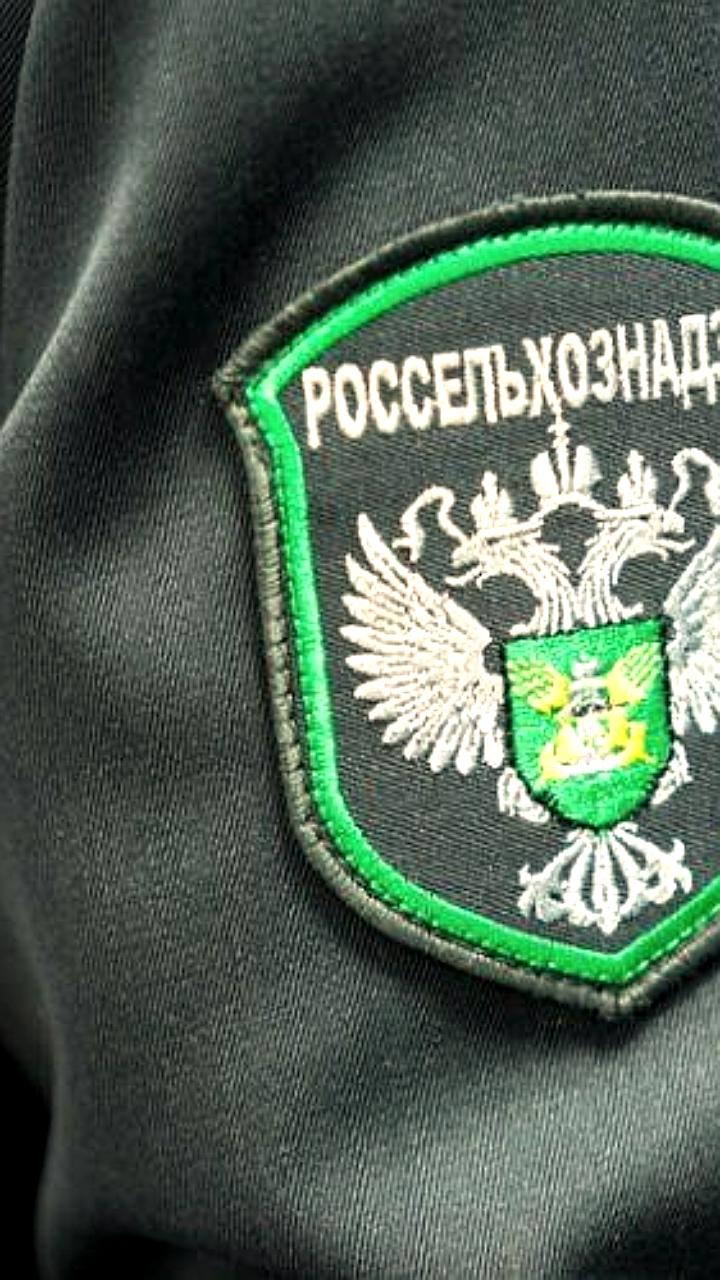 Россельхознадзор выдал более 300 предостережений аграриям Запорожья за нарушения фитосанитарных норм