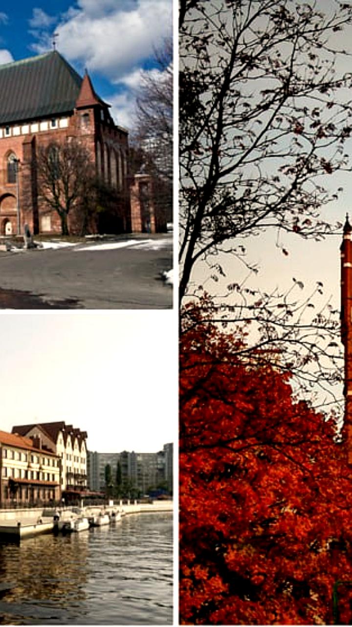 Рост числа репатриантов в Калининградской области, особенно из Германии