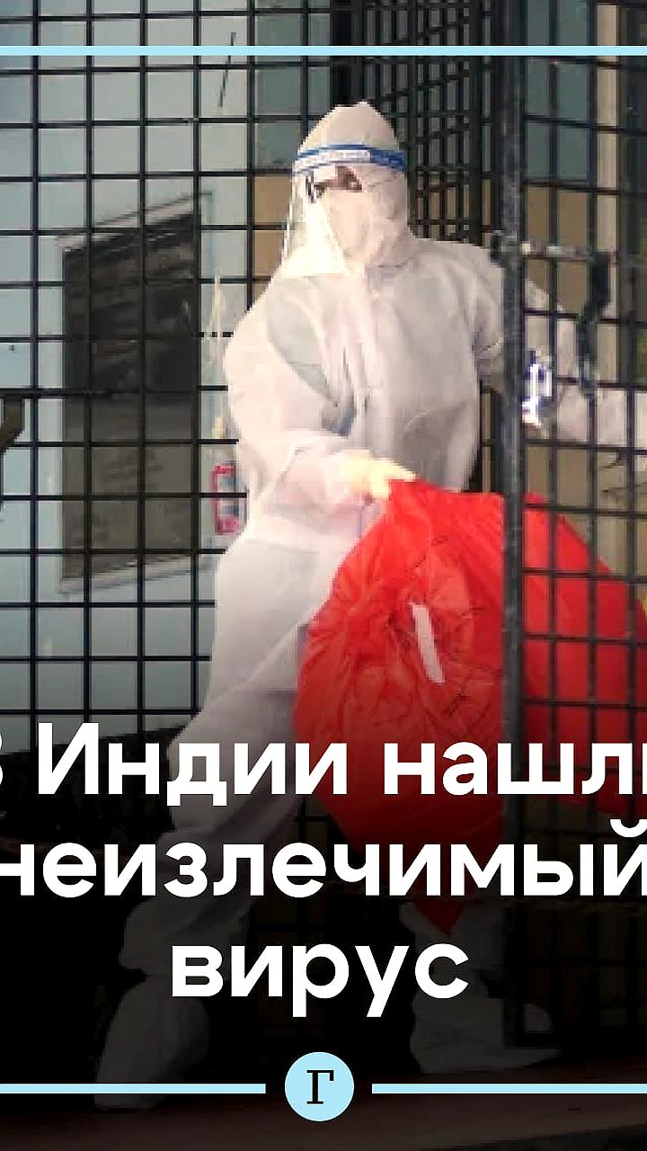 В Индии зафиксированы случаи заражения вирусом Нипах с высоким пандемическим потенциалом