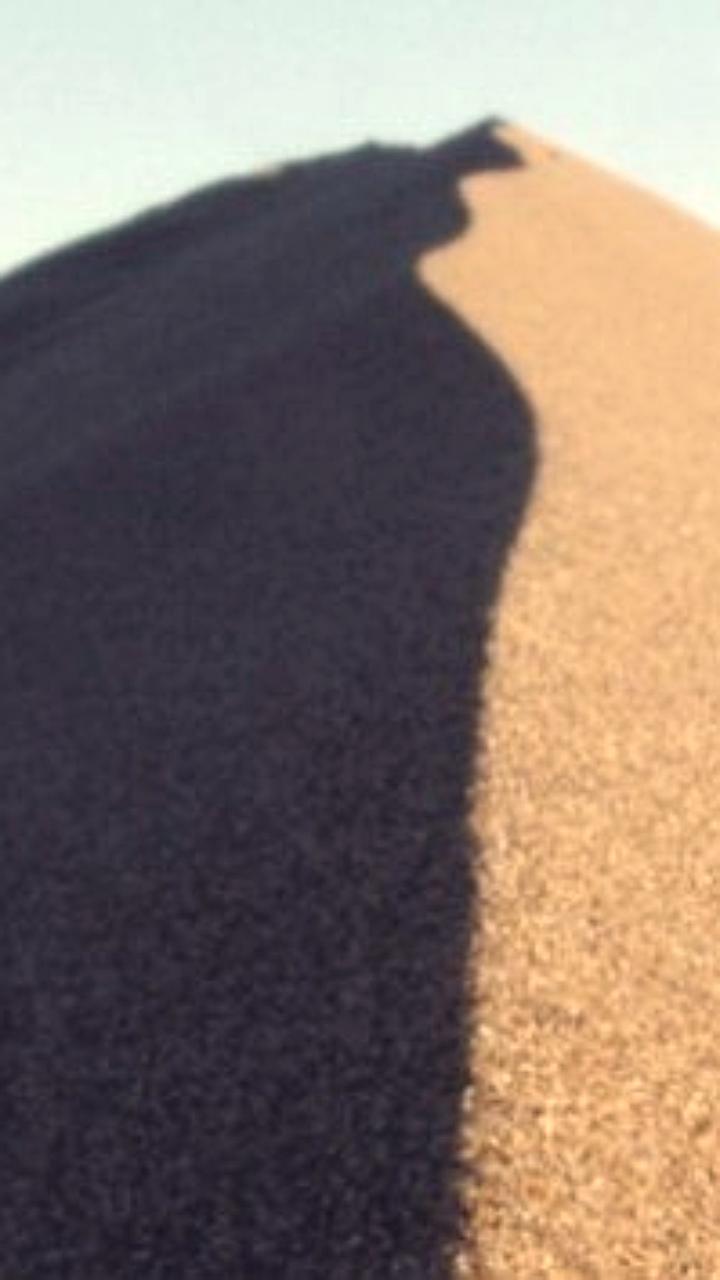 Московские заводы обеспечивают материалы для дорожного ремонта и благоустройства