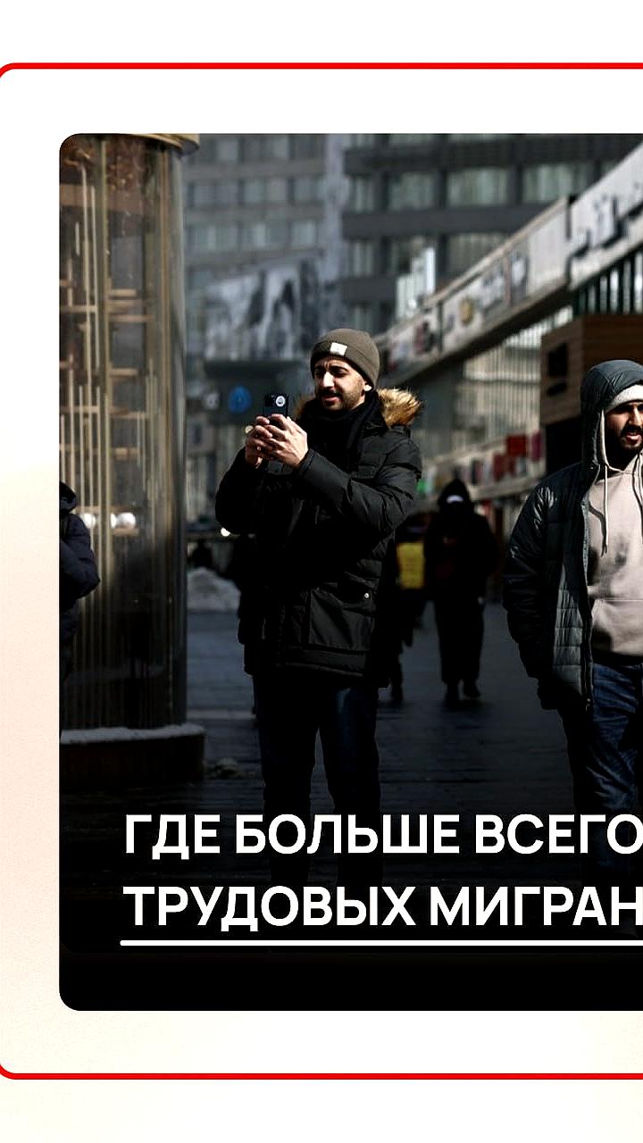 Число трудовых мигрантов в России достигло 2,3 млн, лидируют Москва и Петербург