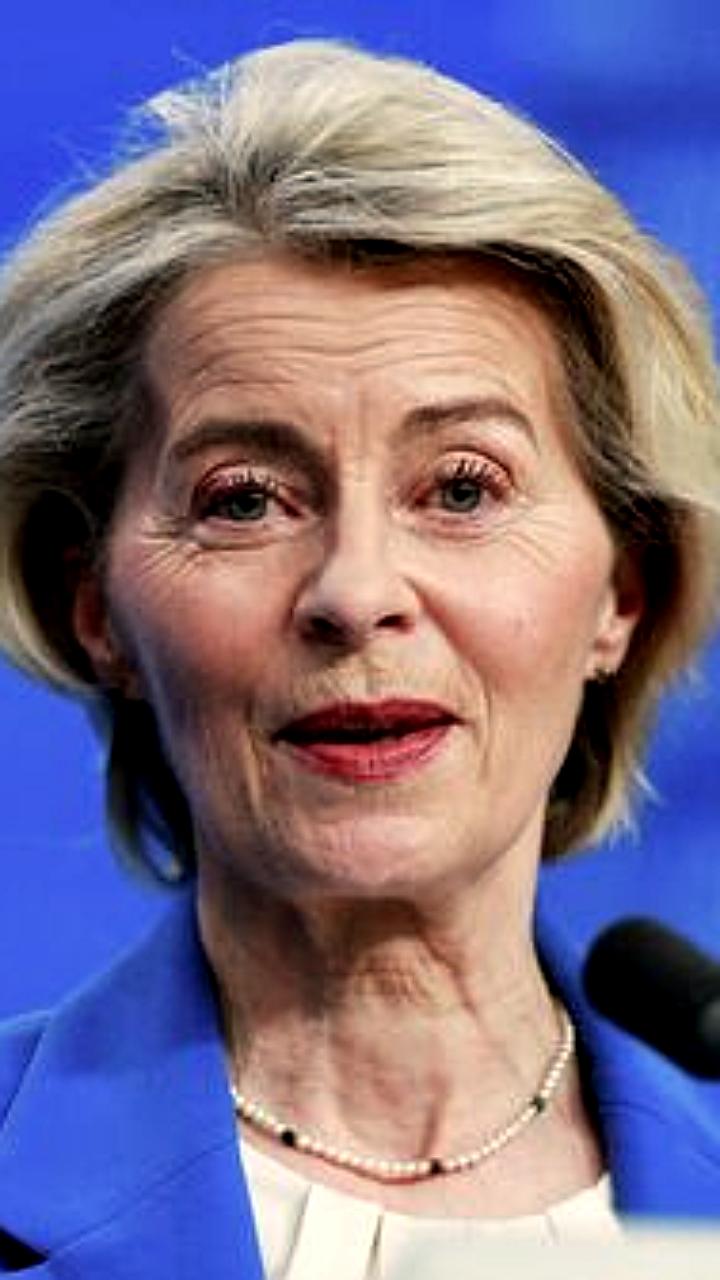 Коррупционный скандал на Украине: Урсула фон дер Ляйен под критикой за поддержку Зеленского