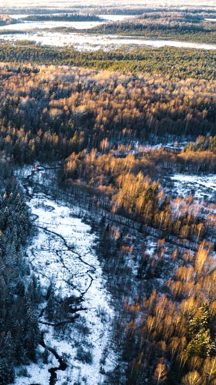 Создание национального парка Великий Луг в Запорожской области