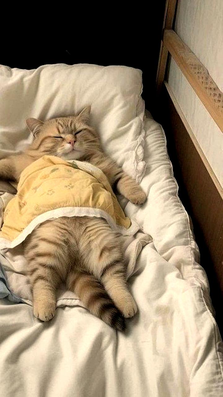 Нейробиологи советуют зимнюю спячку для сохранения энергии