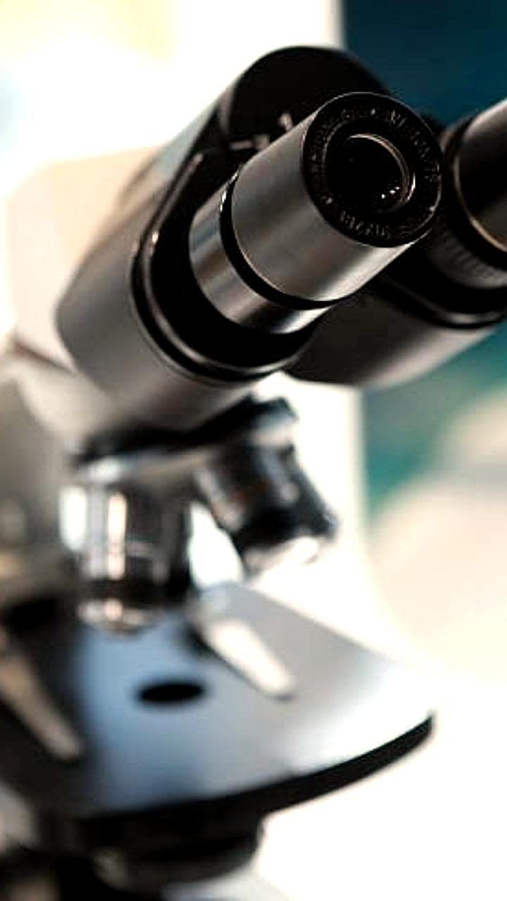 Приморские ученые разработали новые соединения для лечения болезни Паркинсона