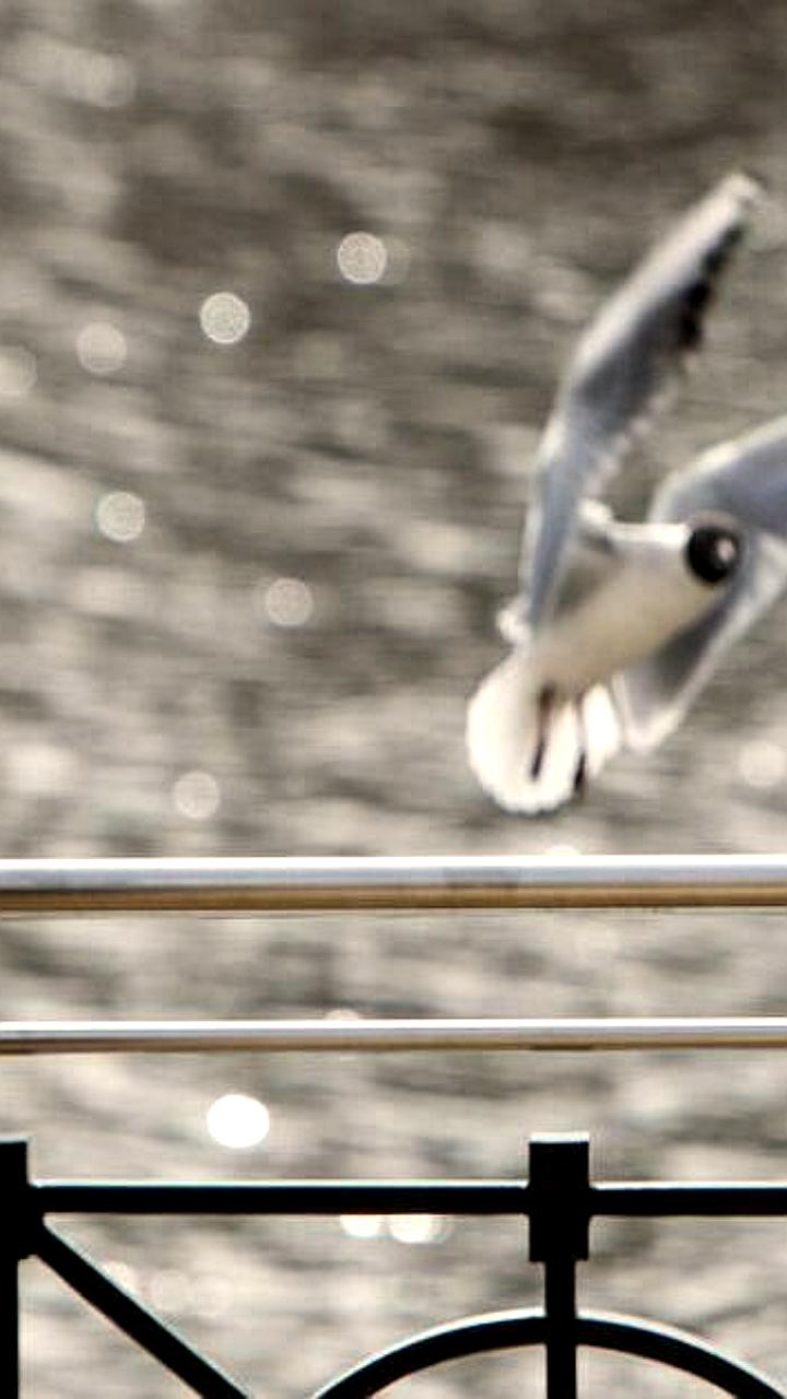 Калининградская область увеличила туристический поток на 13,4% в 2025 году