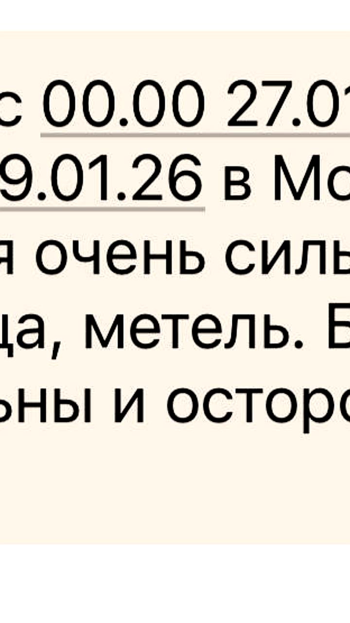 В Москве объявлен оранжевый уровень погодной опасности из-за снегопада