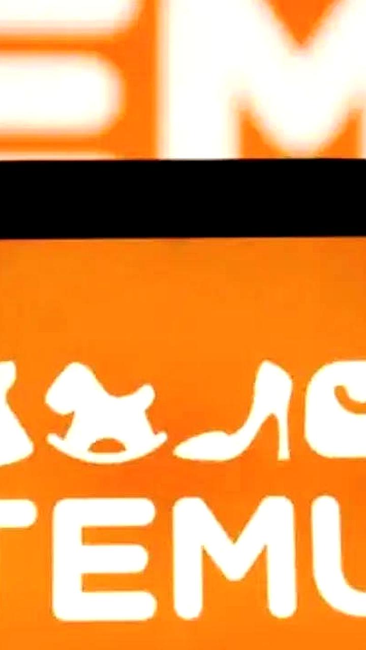 Temu ограничивает зарубежные продажи в Турции после проверки властей