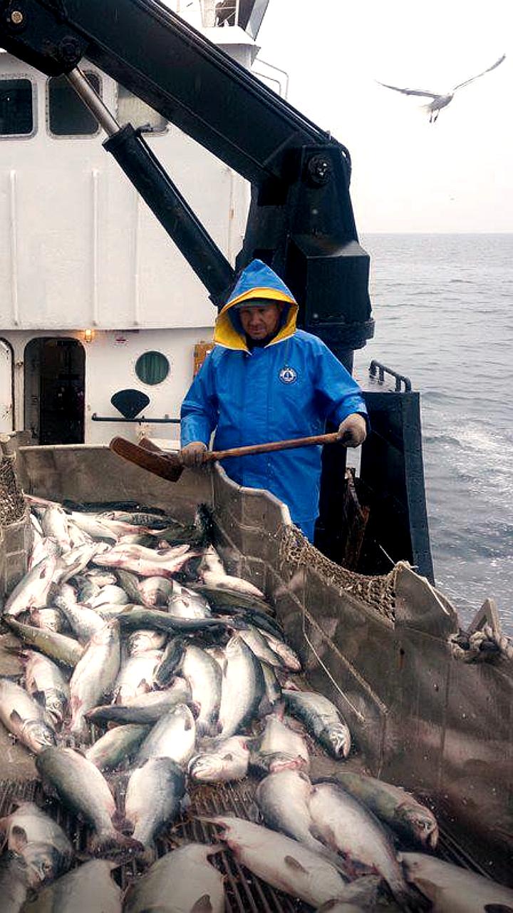 Правительство РФ смягчает запреты на старые суда после обращений Дальнего Востока